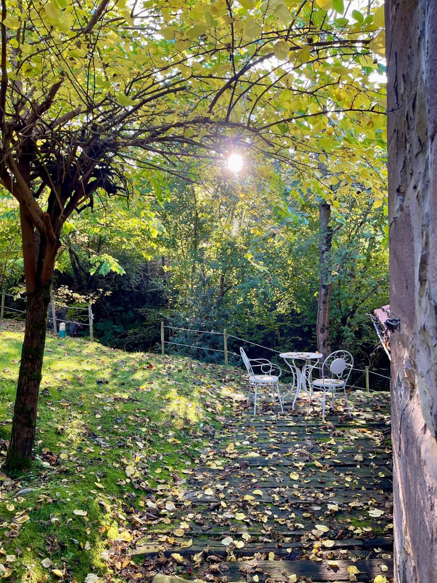 El Molino De Leyte - Charming Riverside Cottage In Carmona, Cantabria Carmona  외부 사진