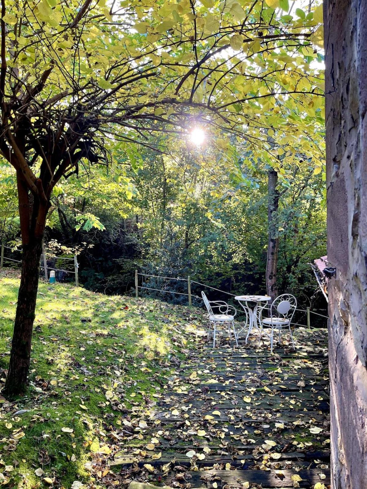 El Molino De Leyte - Charming Riverside Cottage In Carmona, Cantabria Carmona  외부 사진