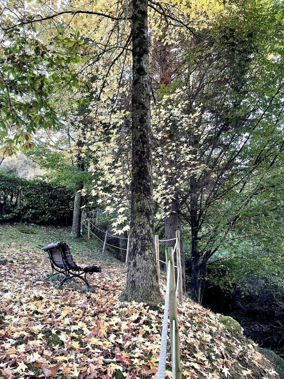 El Molino De Leyte - Charming Riverside Cottage In Carmona, Cantabria Carmona  외부 사진